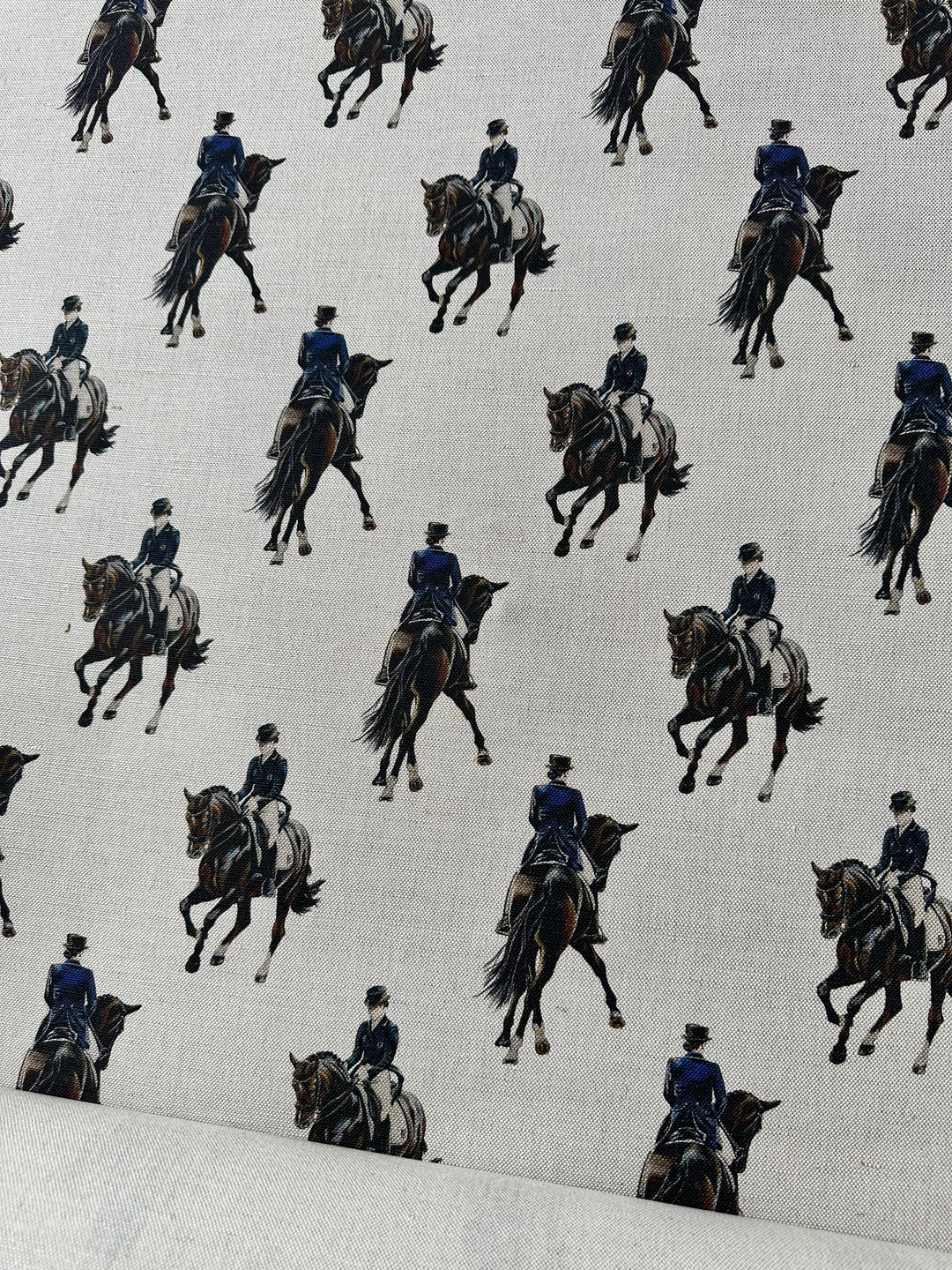 Dressage Fabric