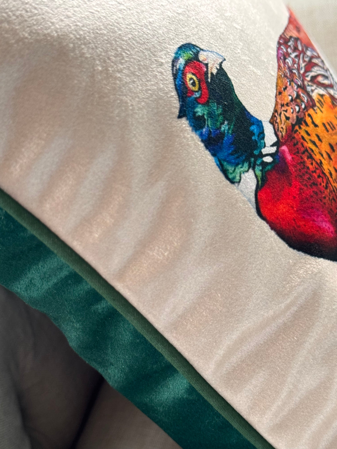 Foraging Pheasant Velvet Cushion Cover