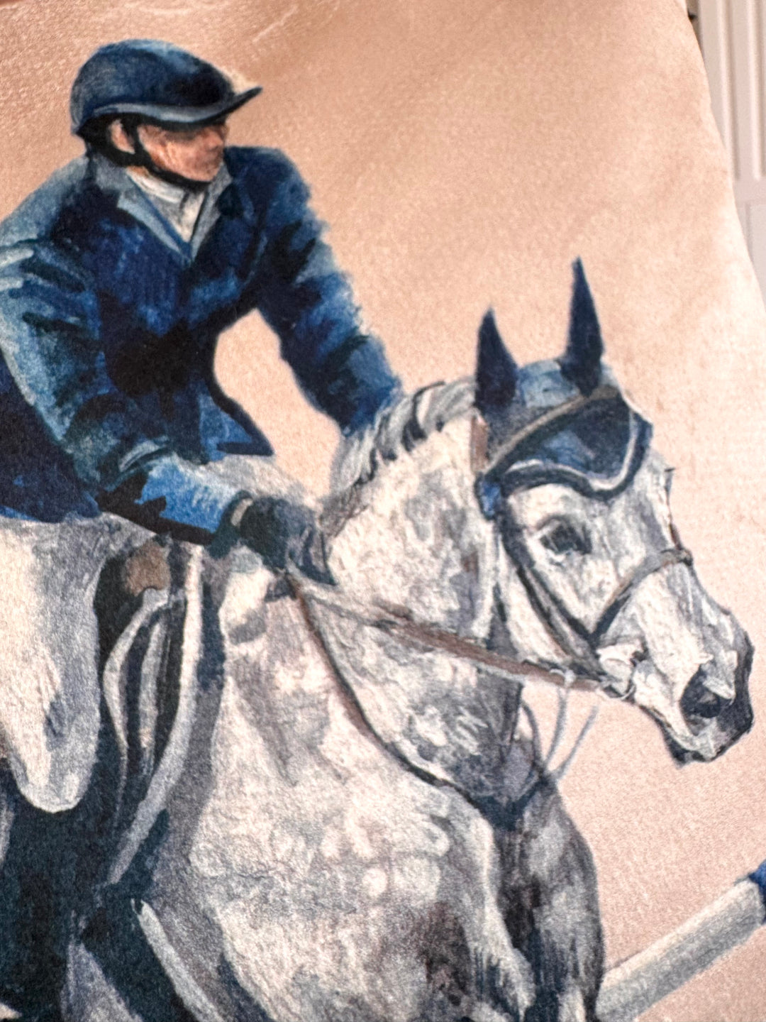 Show Jumping Velvet Cushion Cover