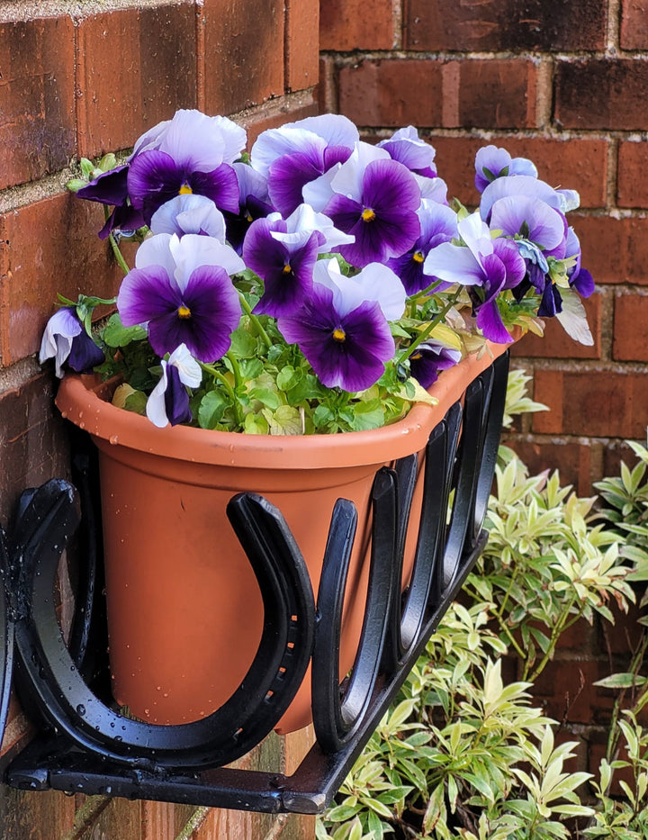 Horseshoe Garden Planter