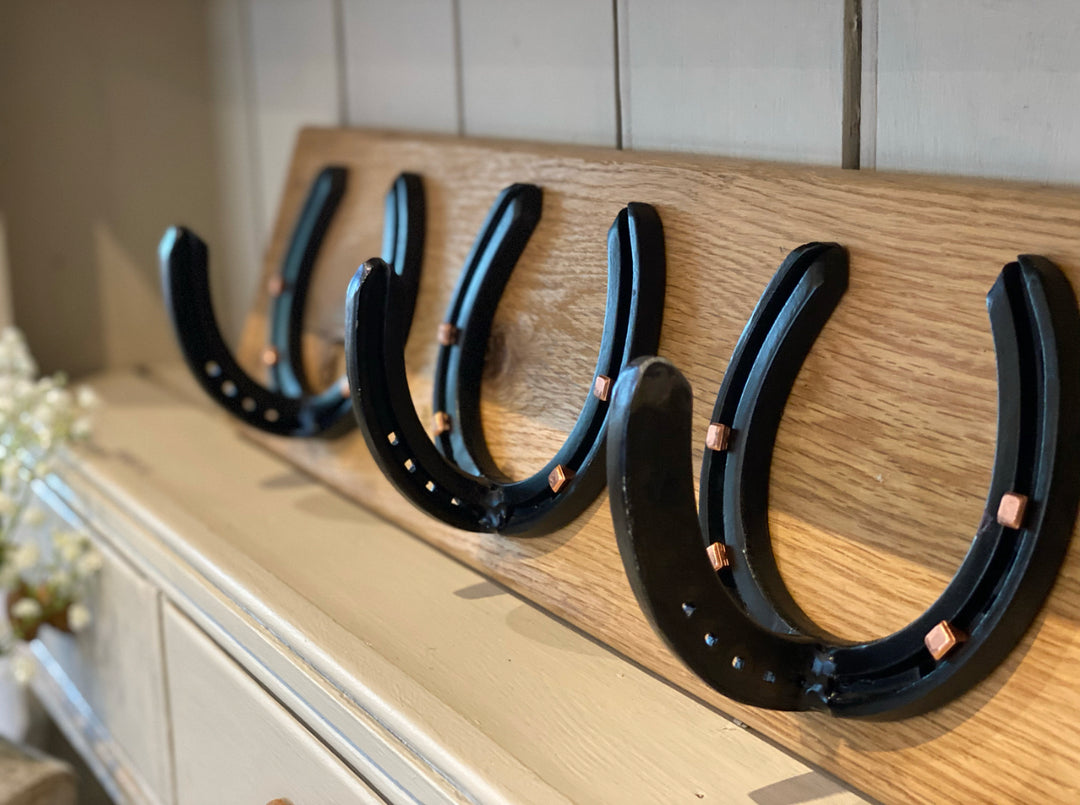 Horseshoe Coat Rack