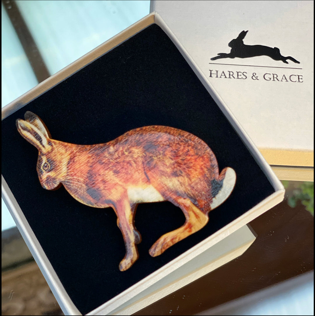 Hare Brooch