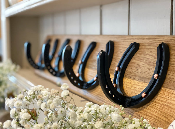 Horseshoe Coat Rack