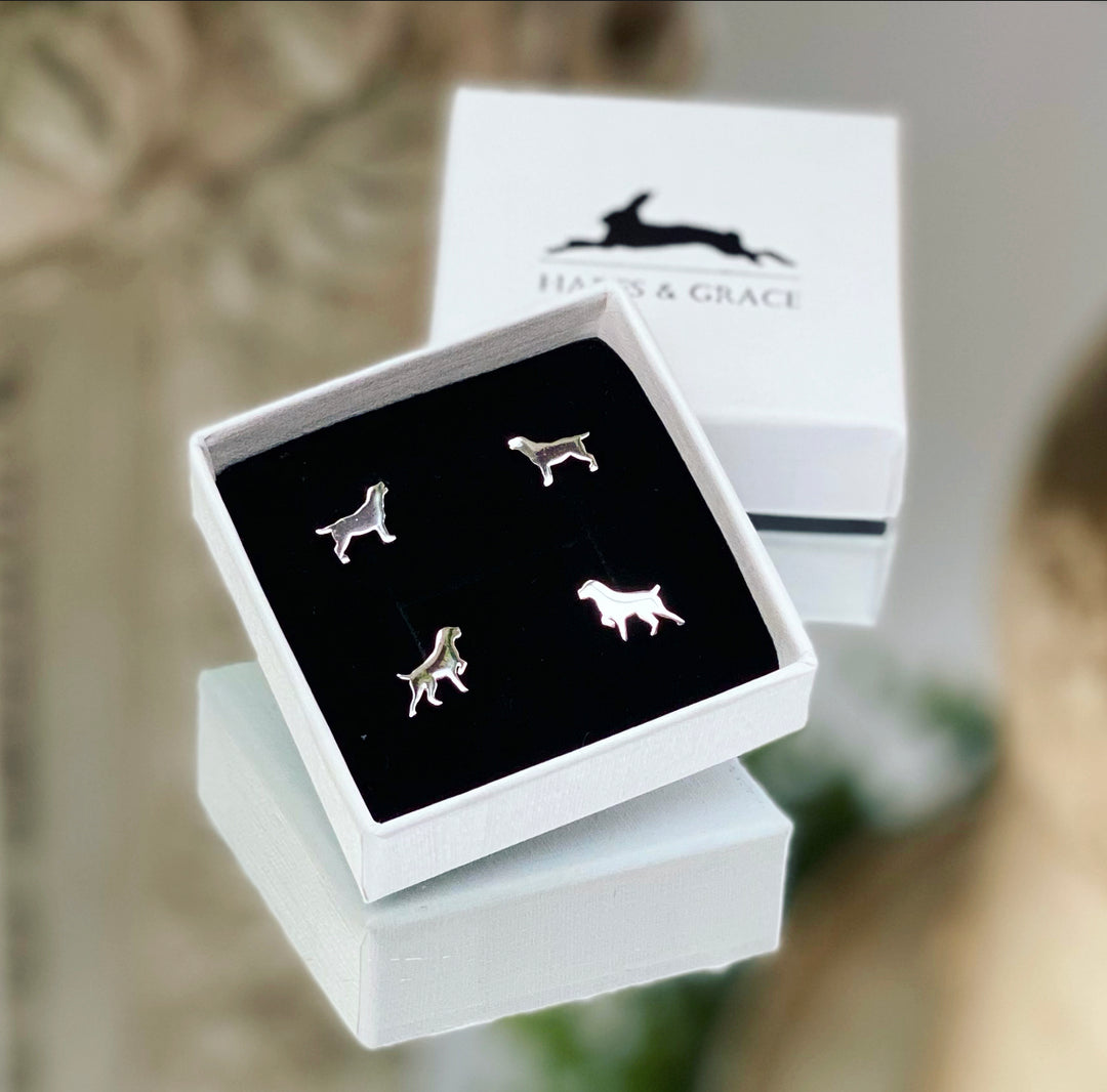 Gift Combo Silver Dog Earrings