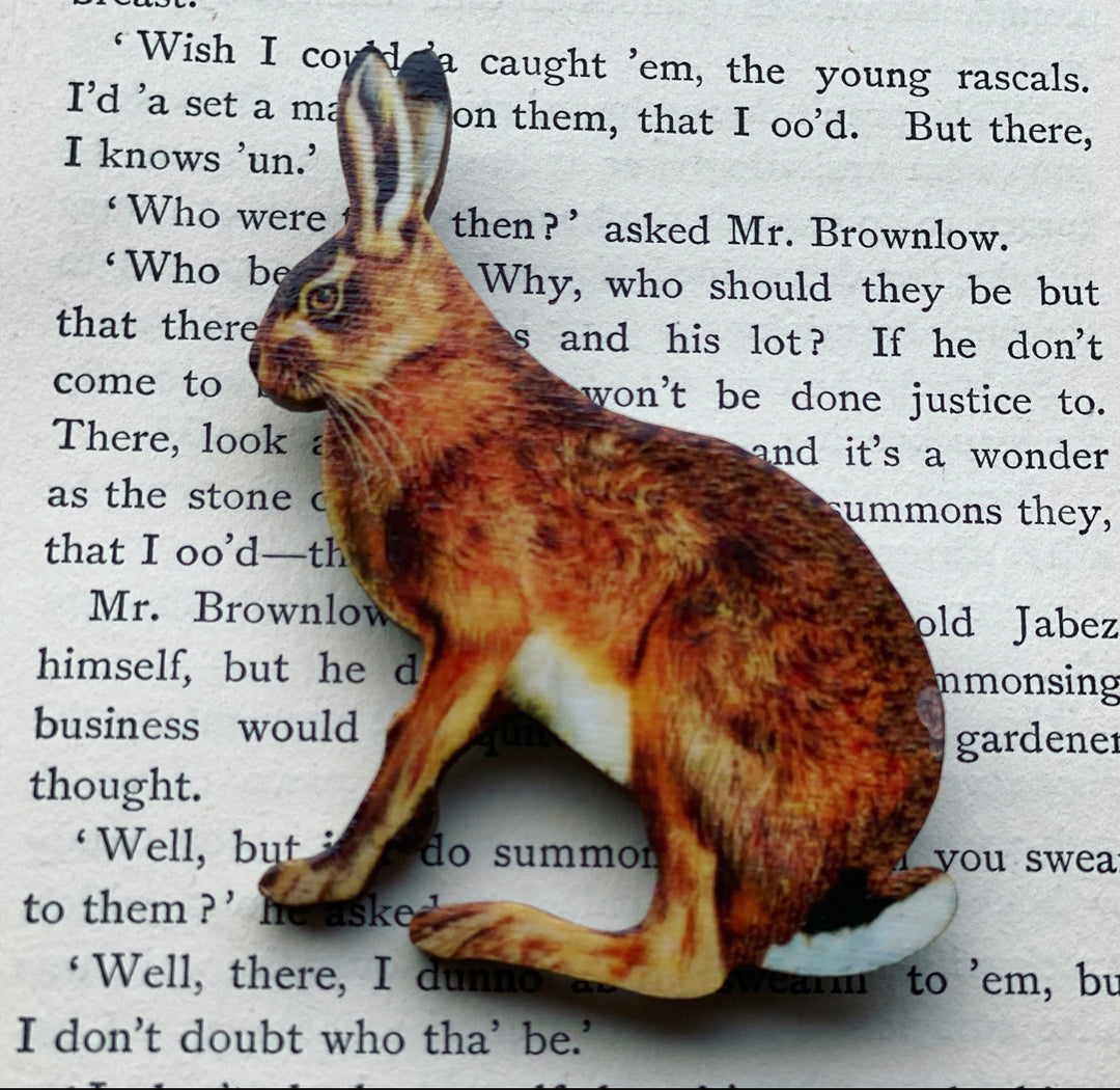 Hare Brooch