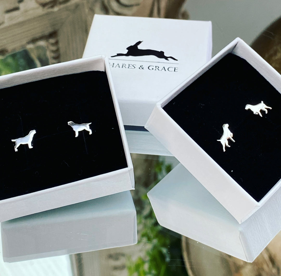 Gift Combo Silver Dog Earrings