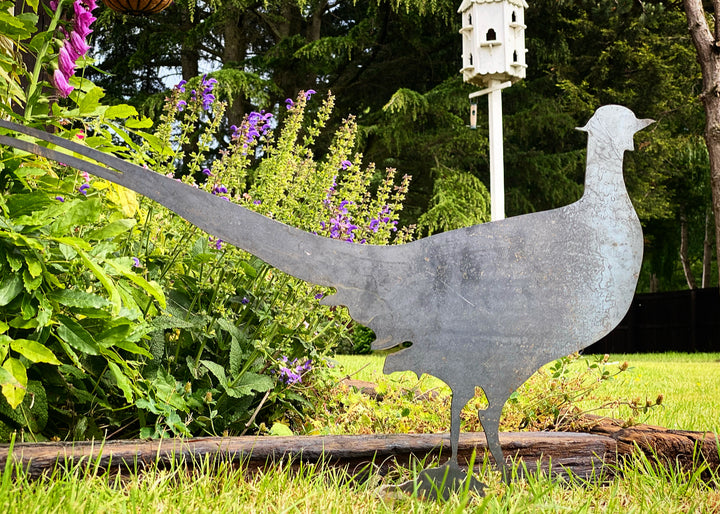 Garden Pheasant