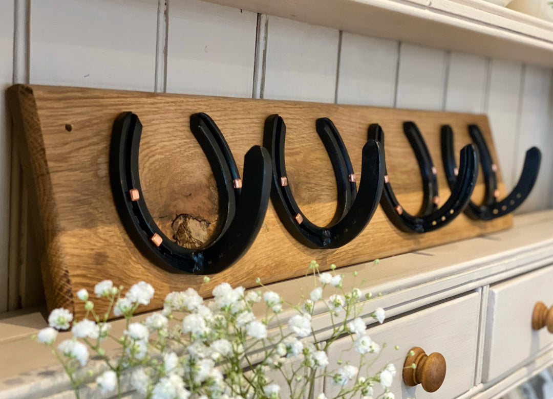 Horseshoe Coat Rack