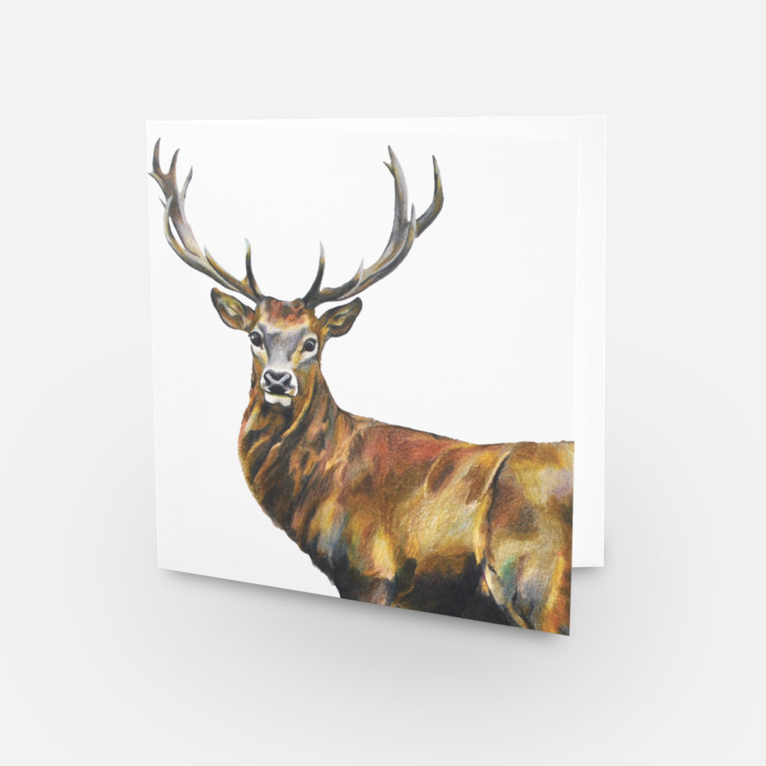 Royal Red Stag Organiser